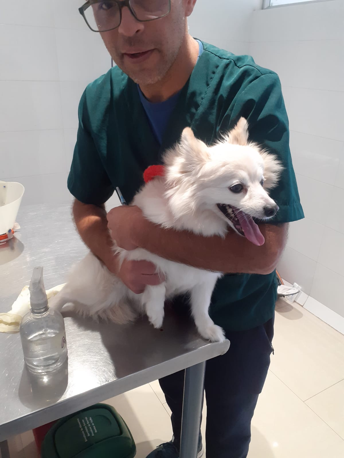 Veterinario atendiendo a un perrito en consulta