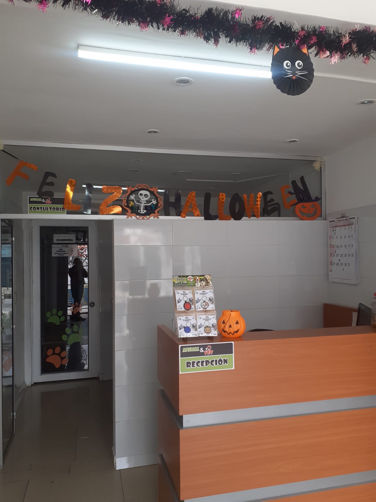 Recepción de Animal & Vet